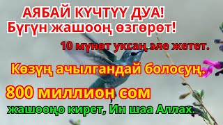 картинка: Керемет дуба! Акча үзгүлтүксүз агып, карыздар жок болуп, бакыттуу өмүр келет
