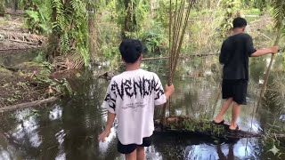 Download Lagu Najur di rawa saat musim banjir ikan pada berkeliaran kelaparan auto dapat banyak MP3