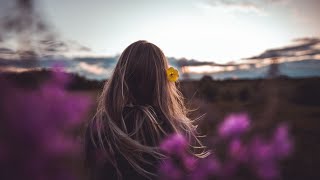 Simon & Garfunkel ~ Flowers Never Bend With the Rainfall Lyrics