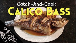 Learn my secrets to catching a keeper calico bass while kayak fishing.
then going home and scaling, gutting, gilling prepping for whole
grilled ...