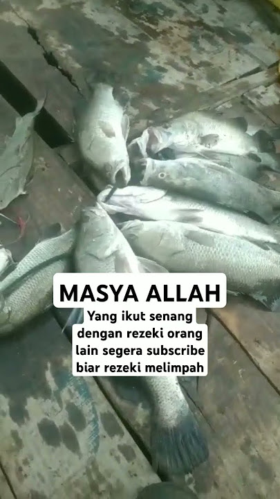 #fishing #mancing #ikan