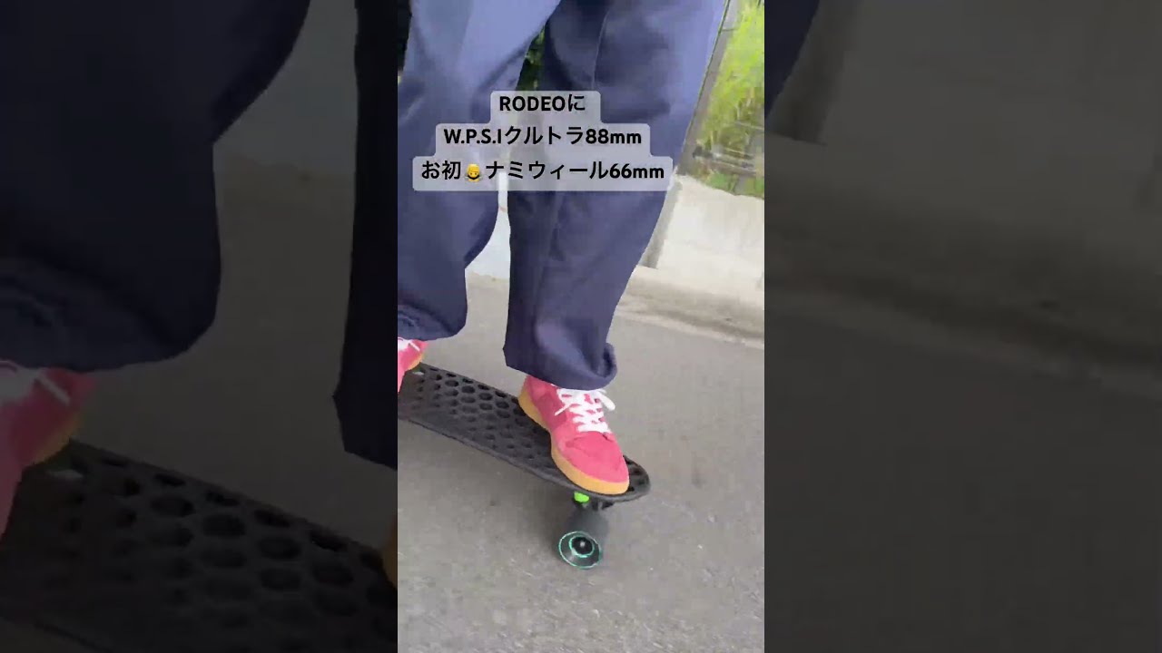 FESN ( エフイーエスエヌ ) トラック W.P.S.I. CRUISER TRUCKS