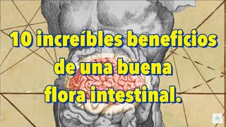 10 increíbles beneficios de una buena flora intestinal