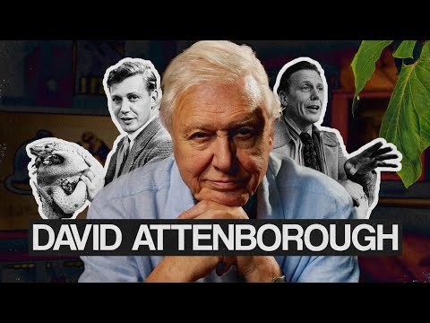 David Attenborough: An Extraordinary Life