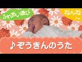 ぞうきんのうた (ふれあい遊び)ねんね 0歳~
