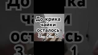 Вот так радуются К27 победе на онлайн турнире 😁 #cs2 #esports #K27nation #vlog
