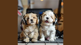Tail Wag Groove