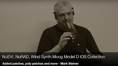 NuEVI, NuRAD, Wind Synth Moog Model D Sounds - Mark Steiner