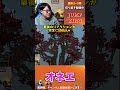 ※爆笑名場面【Jump King】最高のリアクションw急にオネエになる配信者w【ひろちんくん/切り抜き】#Jumpking #おもしろ #名場面 #鬼畜ゲー