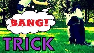 Bang Trick  How to teach the best dog trick EVER