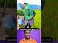 வயலில் பறவைகளை விரட்ட சூப்பர் ஐடியா 🐦🍶​ #farminghacks #birdrepellent #diyidea #shorts