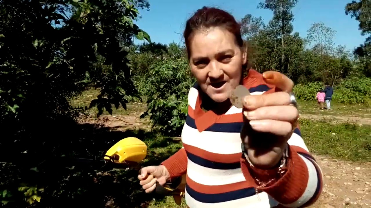 dequitorismo no canal caça espiritual caça ouro M R S. N P.