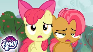 : My Little Pony Deutsch  Spike zu Diensten | Freundschaft ist Magie | Ganze Folge MLP