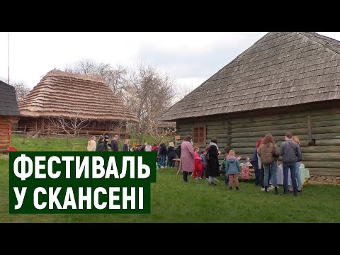 Фестиваль "Весняний буйноцвіт" організували в Ужгороді