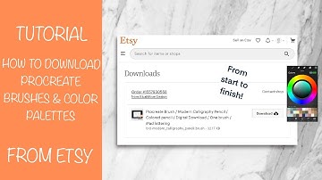 How to download Procreate brushes and Color Palettes from Etsy and use them!
