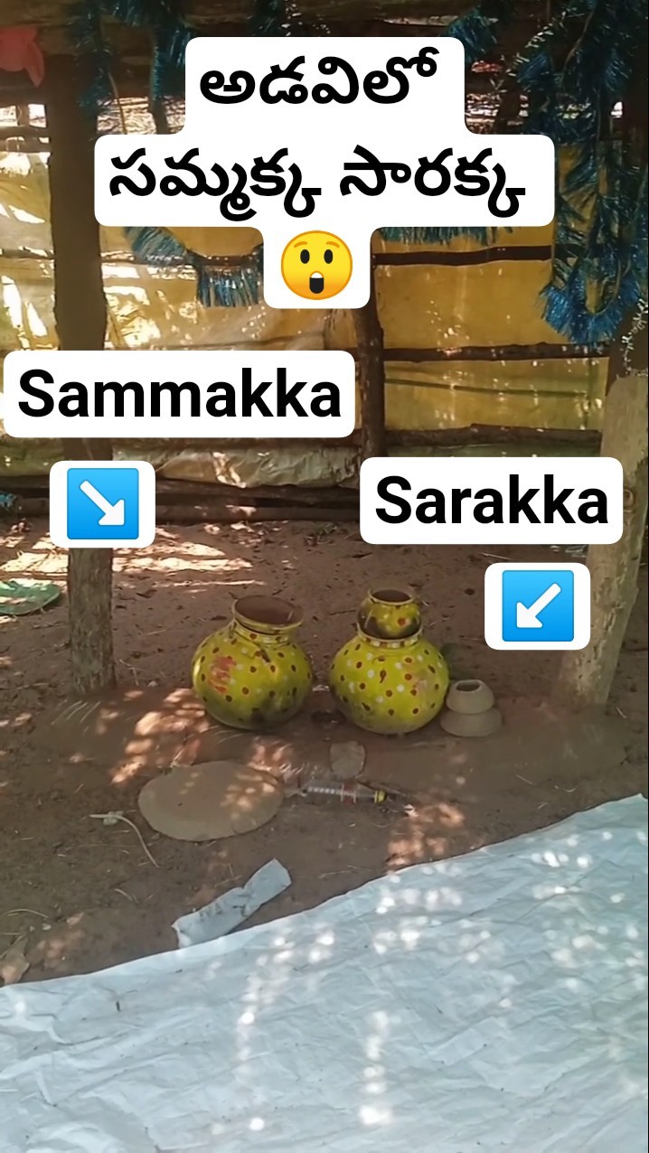 కామెడీ లవర్స్ - ShareChat