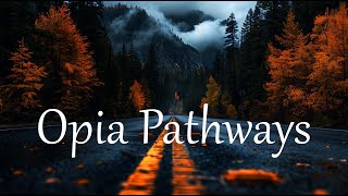 Chill Lofi Beats Chill Lo-Fi Hip Hop Beats - Opia Pathways