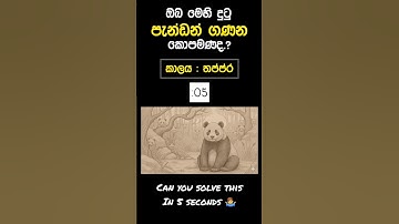 COUNT THE PANDAS BEFORE 5 SECONDS RUN OUT 🕛 🐼 | #shorts #viral #fyp #illusion #spot