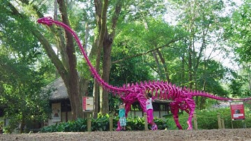 Florida Travel: Family Trip to the Tallahassee Museum