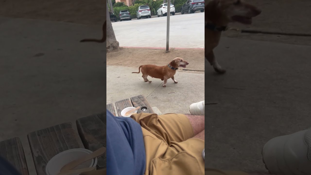 He Probably Thinks S FLYING 
