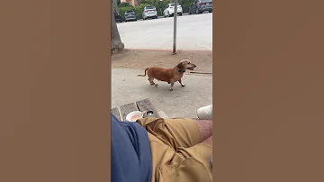 He Probably Thinks He S FLYING 
