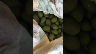 Kitna sara आम 🥭 #vinodkewatvlogs