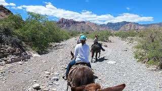 Horseback ride near Red Rock Recreation Area May 9 2024