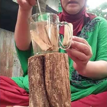 Bajakah Tampala Tunggal asli Kalteng.