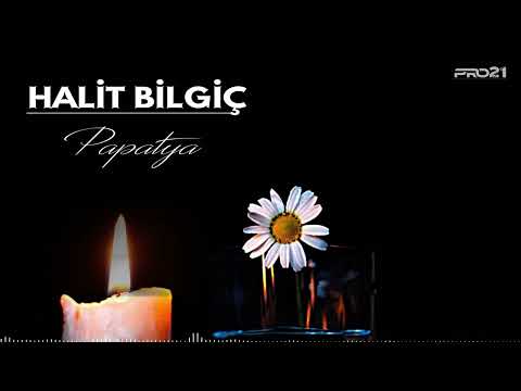 Halit Bilgiç / PAPATYA