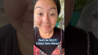 The way I collect rainwater for my porch garden! #rainwater #rainsounds #rainyday #gardening