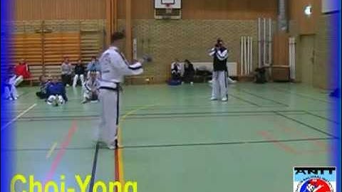 CHOI-YONG     3º  Tul   III Dan