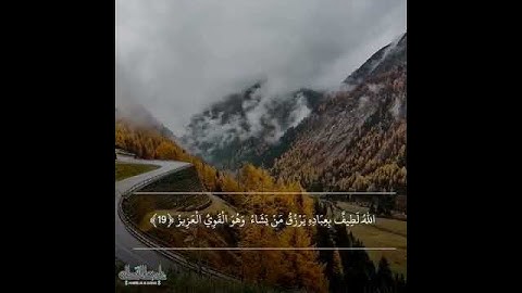 قرآن كريم بصوت القارئ ناصر القطامي اروع حالات واتس اب دينيه 🌃 تلاوة خاشعة 🖤😴