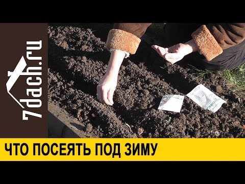 🌱 Подзимний посев: что, когда и как можно сеять под зиму - 7 дач