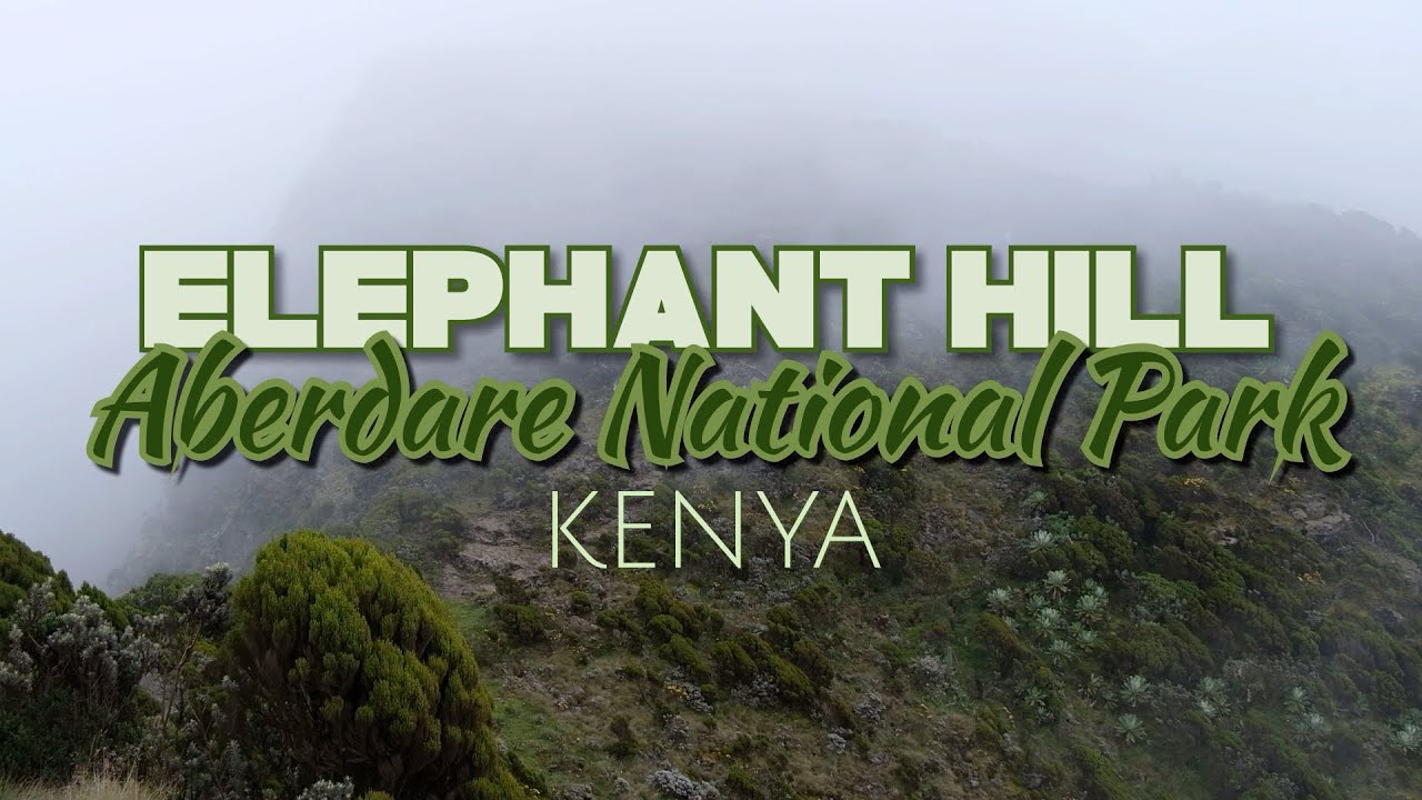 Conquering the ELEPHANT HILL Hike in Kenya’s Aberdare National Park