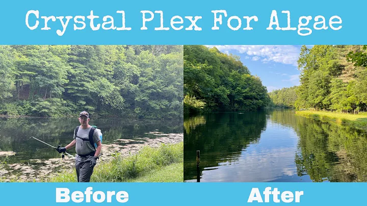 Crystal Plex Algaecide - Amazing Results in Less Than 10 Days!