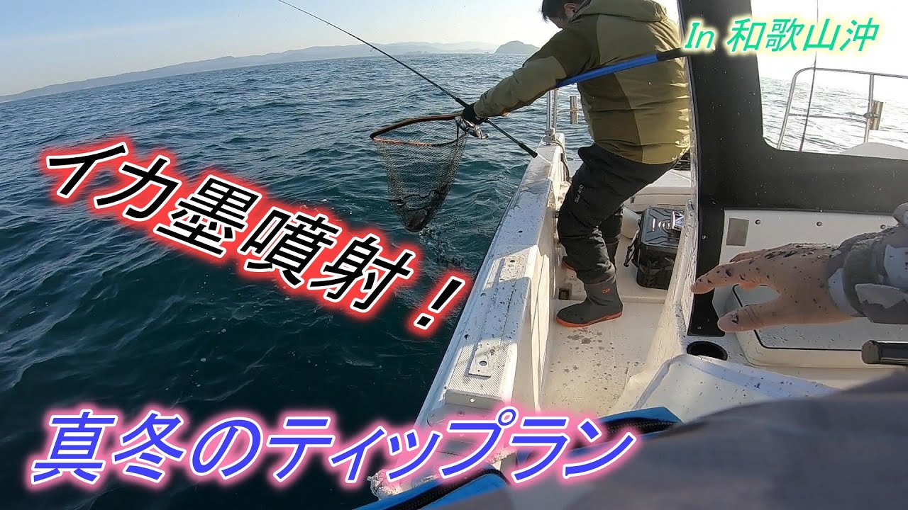 21 2 ティップランで釣れたコウイカが墨を噴射して船や身体がイカ墨まみれに 取り込み時に注意が必要なようです Youtube