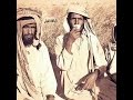 روح البداوه