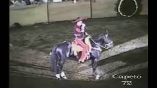 Bohemio De Afición - Vicente Fernández