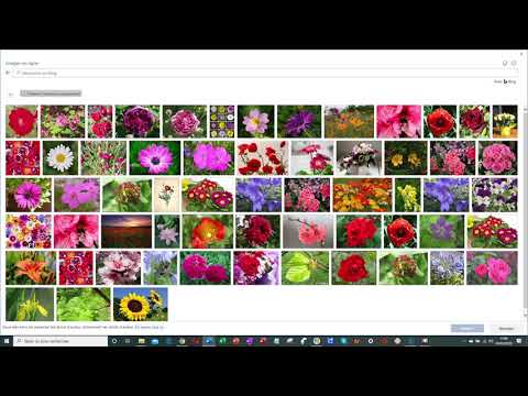 ajouter-une-image-en-ligne
