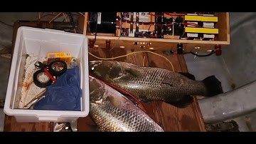 THỰC TẾ MÁY 84FET 24V.. MẪU MỚI NHẤT 2025... ĐÁNH THẾ NÀY NHANH LẠI VỐN LĂM. LH. 0369051161