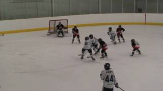 #19 Goal 20091206 Toronto Royals 1999 Atom A Team 2009-10 Season