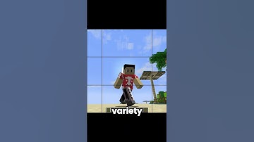 Mods helps to make Videos of Minecraft.