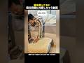 猫を飼ってると寝る時間に共感しちゃう動画