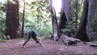 10 Minute Easy Yoga Sequence: Grounded Warrior Flow