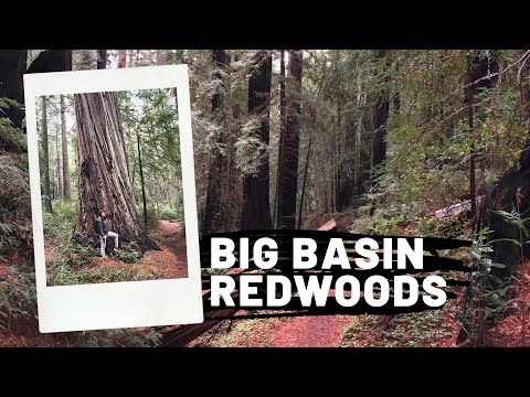 Видео: Государственный парк Big Basin Redwoods: полное руководство