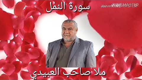 سورة النمل =2=هديتى الى ارواح امواتكم اخوانى واخواتى الاطهار=ملا صاحب العبيدى