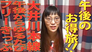 【お得なきっぷ】お昼からのおでかけ旅に!大井川鐵道「大井川本線午後からゆるたびフリーきっぷ」!