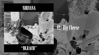 Nirvana - Big Cheese (Full Synth Cover)