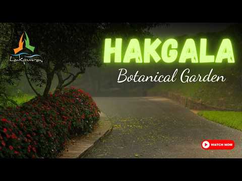 Hakgala Botanical Garden, Hakgala Botanical Garden | Sri Lanka