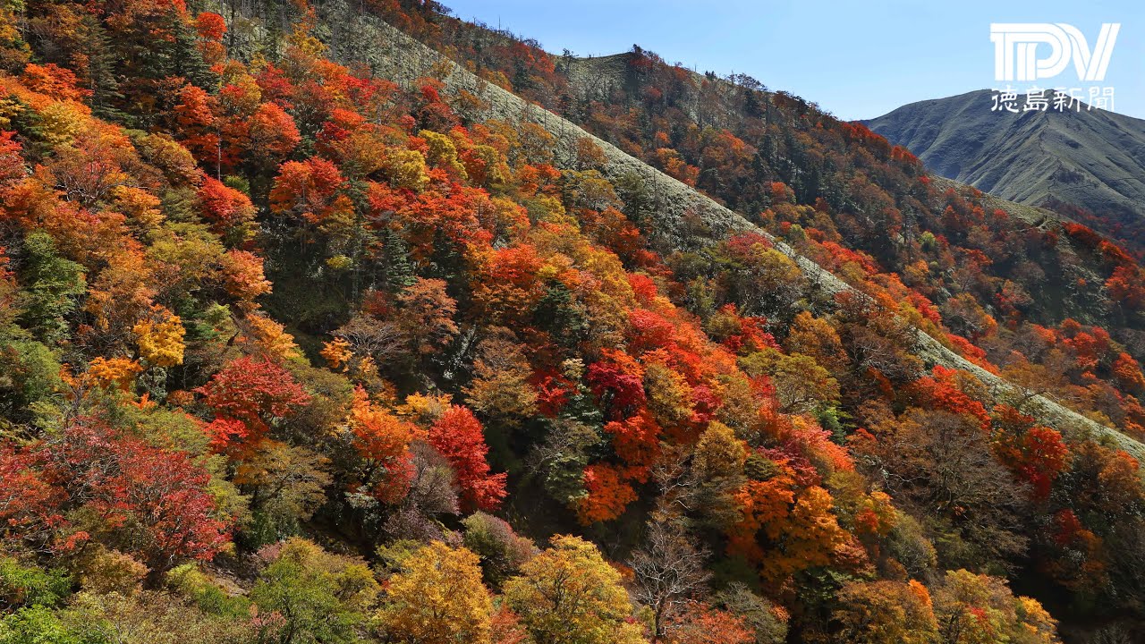 西日本第2の高峰・剣山 紅葉見頃 - YouTube